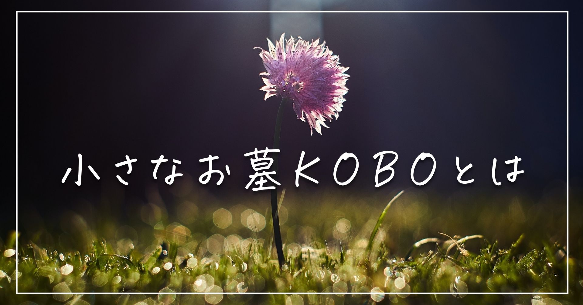 小さなお墓KOBOとは｜手元供養でお墓を持たない新しい選択を