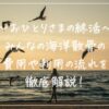 みんなの海洋散骨の費用や利用の流れを徹底解説！タイトルサムネ